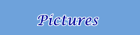 Pictures